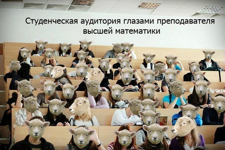 10 смешных стишков-пирожков про институт, сессию и студенческую жизнь